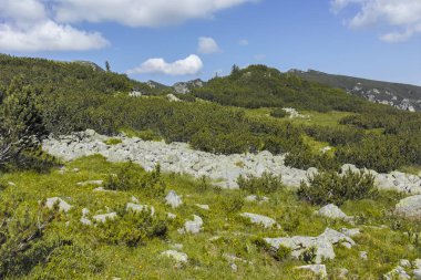 Malyoviska nehir Vadisi, Rila Dağı, Bulgaristan