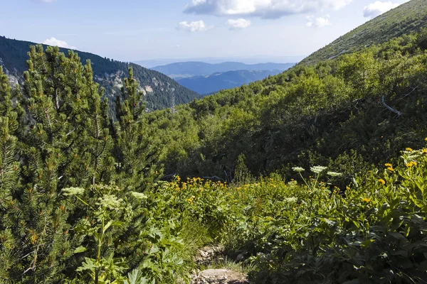 Malyoviska nehir Vadisi, Rila Dağı, Bulgaristan