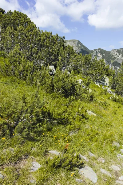Malyoviska nehir Vadisi, Rila Dağı, Bulgaristan