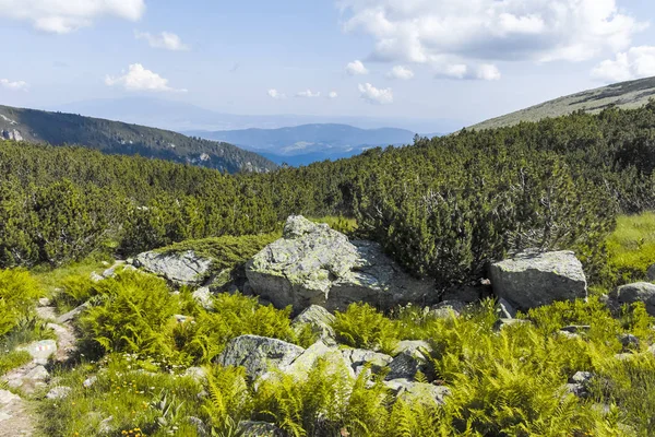 Malyoviska nehir Vadisi, Rila Dağı, Bulgaristan