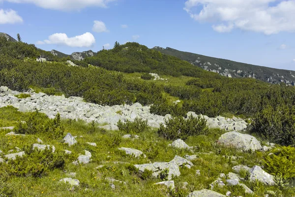 Malyoviska nehir Vadisi, Rila Dağı, Bulgaristan