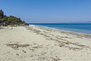 Kassandra Yarımadası'ndaki Xenia Altın Plajı, Chalkidiki,