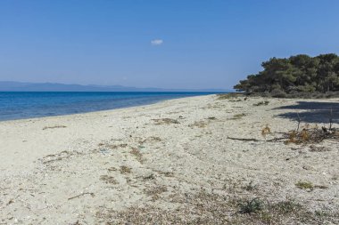 Kassandra Yarımadası'ndaki Lagün Plajı, Chalkidiki, Yunanistan