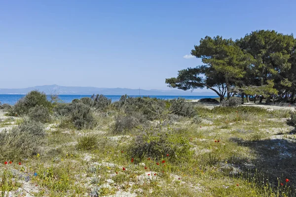 Lagoon Beach a Kassandra-félszigeten, Chalkidiki, Görögország — Stock Fotó