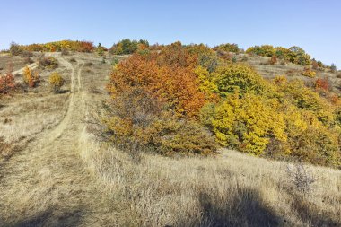 Cherna Gora (Monte Negro) dağının sonbahar manzarası, Bulgaristan