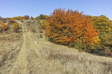 Cherna Gora (Monte Negro) dağının sonbahar manzarası, Bulgaristan