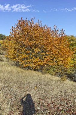 Cherna Gora (Monte Negro) dağının sonbahar manzarası, Bulgaristan