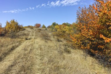 Cherna Gora (Monte Negro) dağının sonbahar manzarası, Bulgaristan