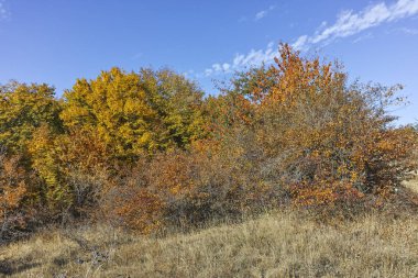 Cherna Gora (Monte Negro) dağının sonbahar manzarası, Bulgaristan