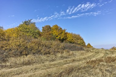 Cherna Gora (Monte Negro) dağının sonbahar manzarası, Bulgaristan