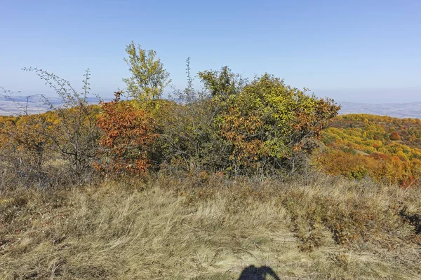 Cherna Gora (Monte Negro) dağının sonbahar manzarası, Bulgaristan