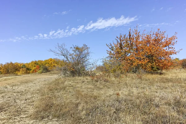 Cherna Gora (Monte Negro) dağının sonbahar manzarası, Bulgaristan