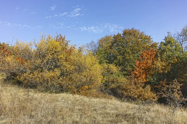 Cherna Gora (Monte Negro) dağının sonbahar manzarası, Bulgaristan
