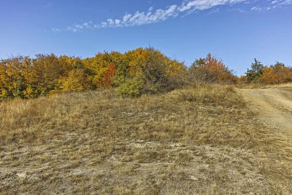 Cherna Gora (Monte Negro) dağının sonbahar manzarası, Bulgaristan
