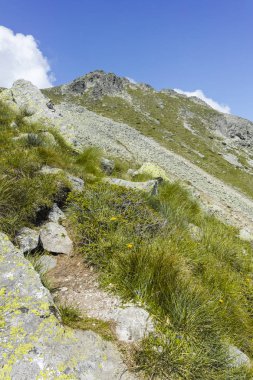 Kupen tepelerinden Orlovets tepesine, Rila M 'ye kadar olan yürüyüş yolunun görüntüsü