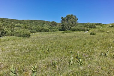 Belmeken zirvesi, Rila dağı, Bulgaristan çevresindeki Panorama