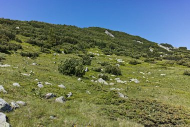 Belmeken zirvesi, Rila dağı, Bulgaristan çevresindeki Panorama