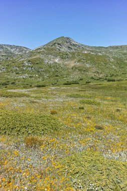 Belmeken zirvesi, Rila dağı, Bulgaristan çevresindeki Panorama