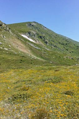 Belmeken zirvesi, Rila dağı, Bulgaristan çevresindeki Panorama