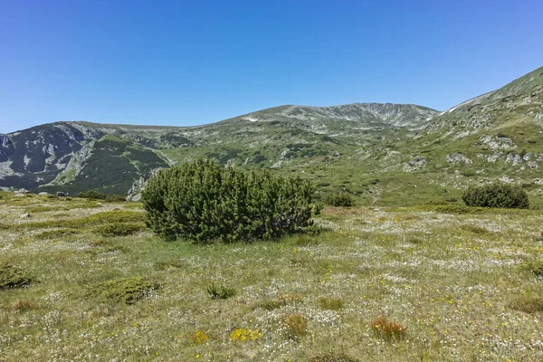 Panorama Runt Belmeken Topp Rila Berg Bulgarien — Stockfoto