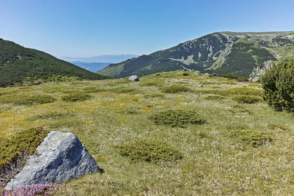 Panorama Alrededor Del Pico Belmeken Montaña Rila Bulgaria —  Fotos de Stock