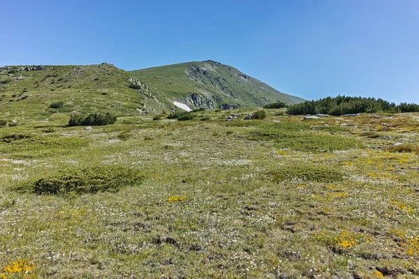 Panorama Runt Belmeken Topp Rila Berg Bulgarien — Stockfoto