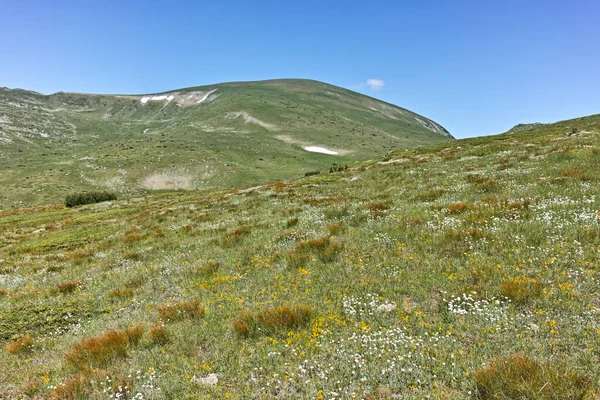 Panorama Alrededor Del Pico Belmeken Montaña Rila Bulgaria —  Fotos de Stock