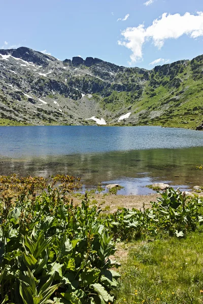 Ladscape Fish Lakes Ribni Ezera Rila Mountain Bulgaria — Stock fotografie