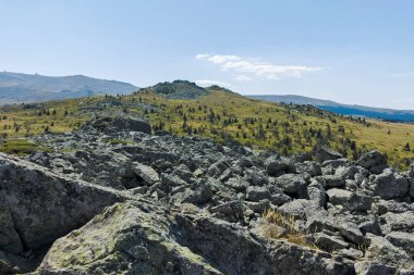 Bulgaristan 'ın Sofya Şehir Bölgesi Vitosha Dağı' nın sonbahar manzarası