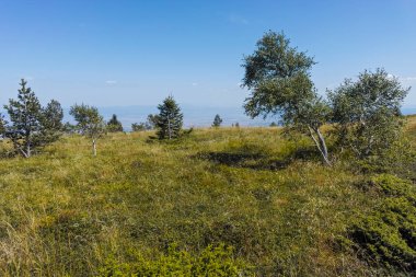 Bulgaristan 'ın Sofya Şehir Bölgesi Vitosha Dağı' nın sonbahar manzarası