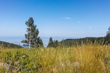 Bulgaristan 'ın Sofya Şehir Bölgesi Vitosha Dağı' nın sonbahar manzarası