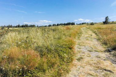 Bulgaristan 'ın Sofya Şehir Bölgesi Vitosha Dağı' nın sonbahar manzarası