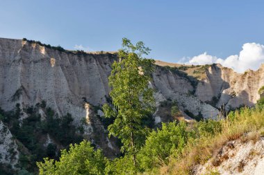 MELNIK, BULGARIA - 28 Haziran 2020: Bulgaristan 'ın Blagoevgrad bölgesindeki tarihi Melnik kasabasındaki tipik sokak ve eski evler