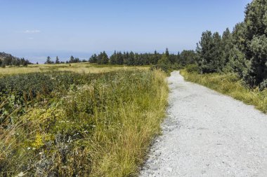 Bulgaristan 'ın Sofya Şehir Bölgesi Vitosha Dağı' nın sonbahar manzarası