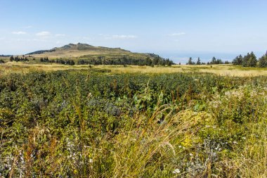 Bulgaristan 'ın Sofya Şehir Bölgesi Vitosha Dağı' nın sonbahar manzarası