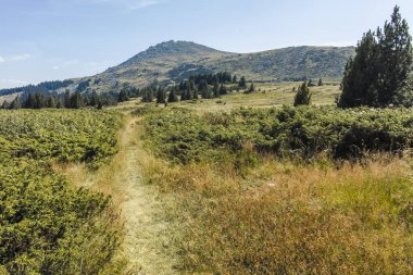 Bulgaristan 'ın Sofya Şehir Bölgesi Vitosha Dağı' nın sonbahar manzarası