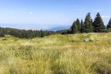 Bulgaristan 'ın Sofya Şehir Bölgesi Vitosha Dağı' nın sonbahar manzarası