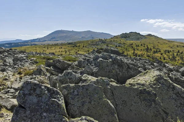 Paysage Automnal Montagne Vitosha Région Sofia Bulgarie — Photo