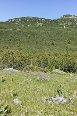 The Fish Lakes (Ribni Ezera), Rila Dağı, Bulgaristan