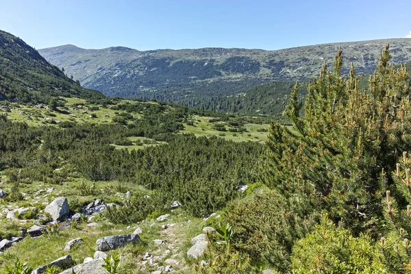 Paisaje Verano Cerca Los Lagos Los Peces Ribni Ezera Montaña — Foto de Stock