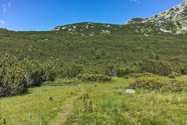 Paesaggio Incredibile Vicino Laghi Pesce Ribni Ezera Montagna Rila Bulgaria — Foto Stock