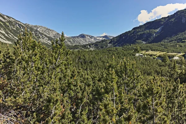 Increíble Paisaje Cerca Los Lagos Los Peces Ribni Ezera Montaña — Foto de Stock