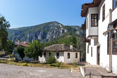 Ortaçağ Varsayım Manastırı, Vratsa bölgesi, Bulgaristan