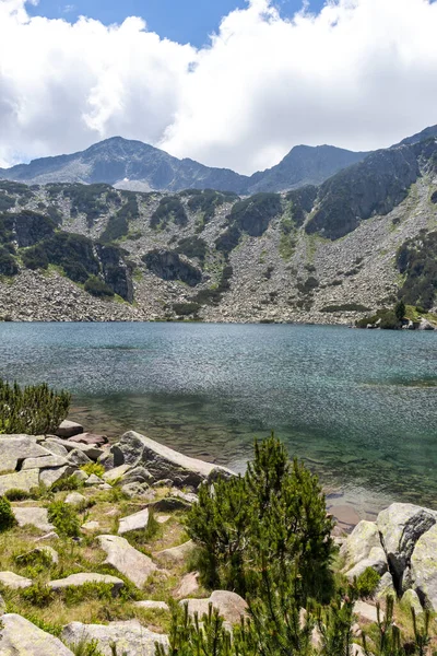 Paesaggio Incredibile Pirin Mountain Pesce Lago Banderitsa Bulgaria — Foto Stock