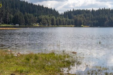Shiroka polyana (Geniş çayır) Reservoir, Pazardzhik Bölgesi, Bulgaristan