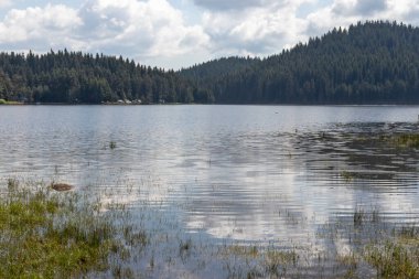 Shiroka polyana (Geniş çayır) Reservoir, Pazardzhik Bölgesi, Bulgaristan
