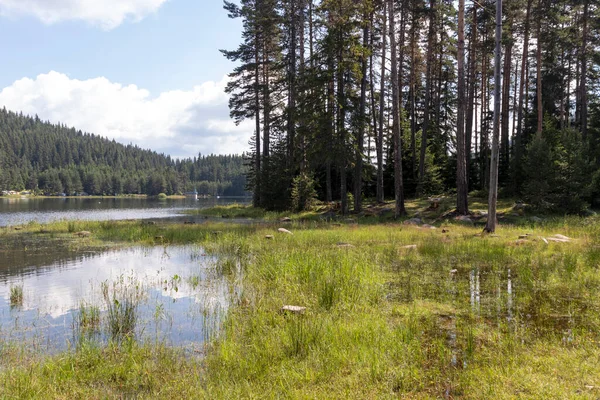 Shiroka polyana (Geniş çayır) Reservoir, Pazardzhik Bölgesi, Bulgaristan