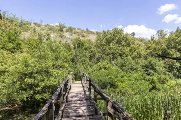 Vue Aérienne Géoparc Iskar Panega Long Rivière Gold Panega Bulgarie — Photo