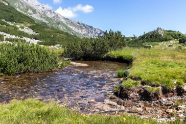 Banderitsa Nehri, Pirin Dağı, Bulgaristan