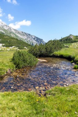 Banderitsa Nehri, Pirin Dağı, Bulgaristan